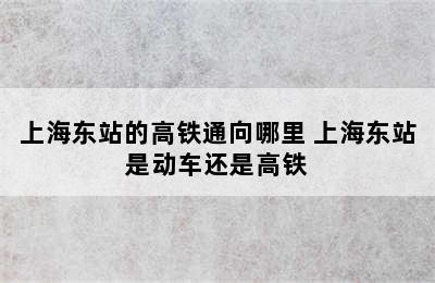 上海东站的高铁通向哪里 上海东站是动车还是高铁